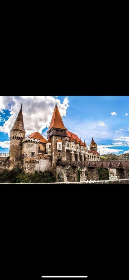 Cabana Tip A La 300 M De Castel هونيدوارا المظهر الخارجي الصورة