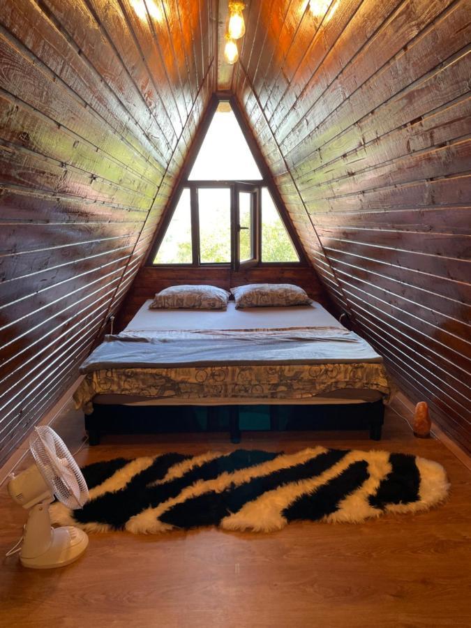 Cabana Tip A La 300 M De Castel هونيدوارا المظهر الخارجي الصورة