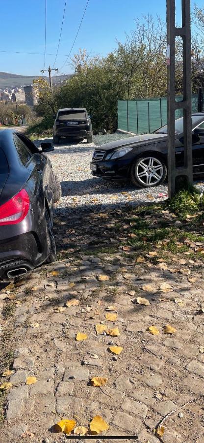 Cabana Tip A La 300 M De Castel هونيدوارا المظهر الخارجي الصورة